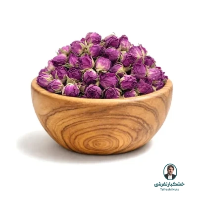 غنچه گل محمدی