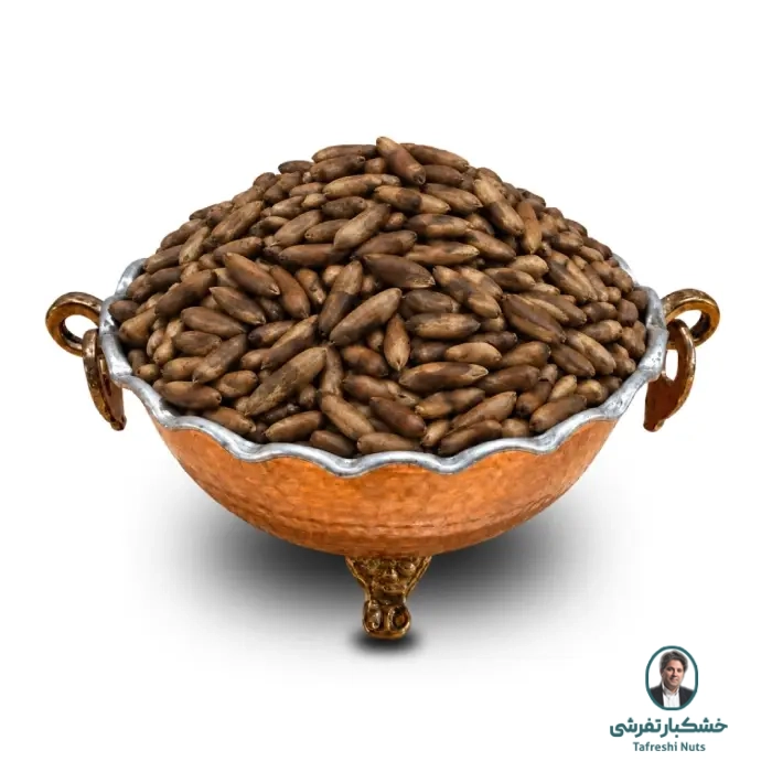 چلغوز(صنوبر)